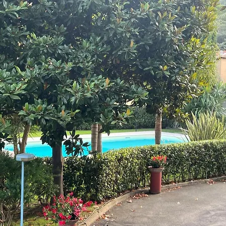 Les Fleurs Pool